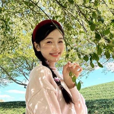 拜访森林