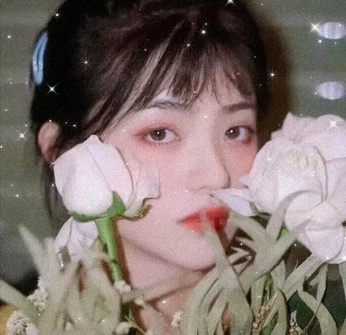 异形之恋